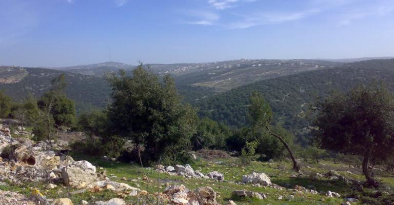 وقفة احتجاجية في غابات برقش ضد إنشاء الكلية العسكرية