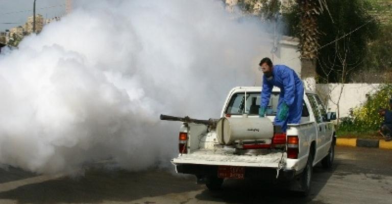 الأمانة تكافح الحشرات والقوارض