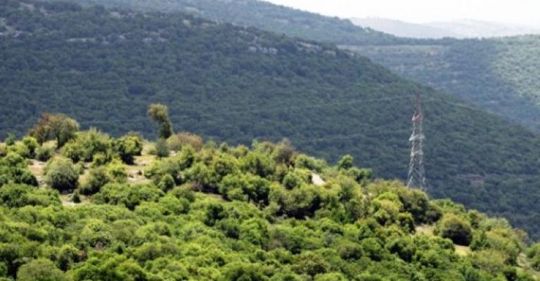 برقش: معارضو الكلية يعتصمون أمام الزراعة والمؤيدون في الغابات برقش: معارضو الكلية يعتصمون أمام الزراعة والمؤيدون في الغابات