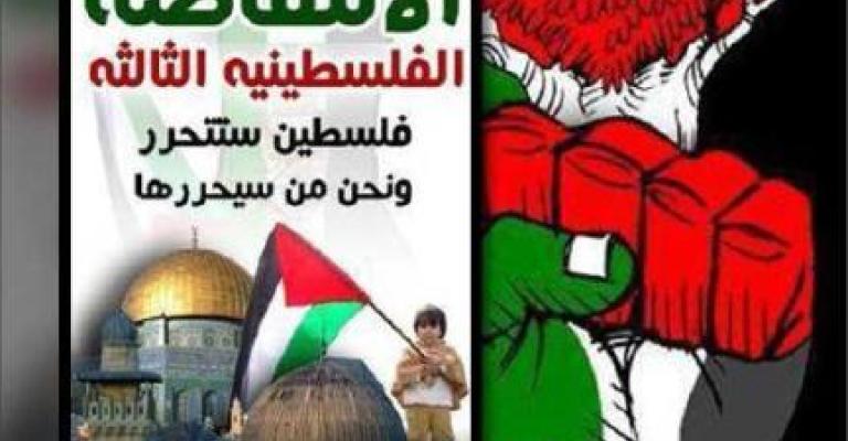 "شباب 15 مايو" ينفذون مسيرة إلى حدود الأراضي الفلسطينية بدلا من المهرجانات