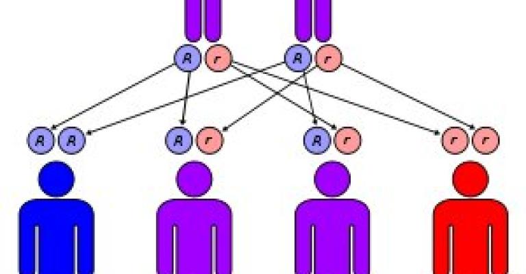 4% نسبة حاملي مرض "الثلاسيميا" 4% نسبة حاملي مرض "الثلاسيميا"