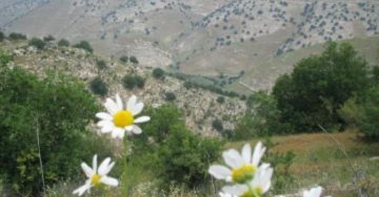 طقس معتدل الثلاثاء وامطار متفرقة في اليومين المقبلين