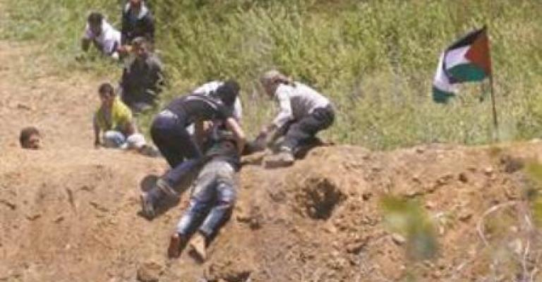 إدانة أردنية للاعتداء الإسرائيلي على متظاهري الجولان في ذكرى النكسة