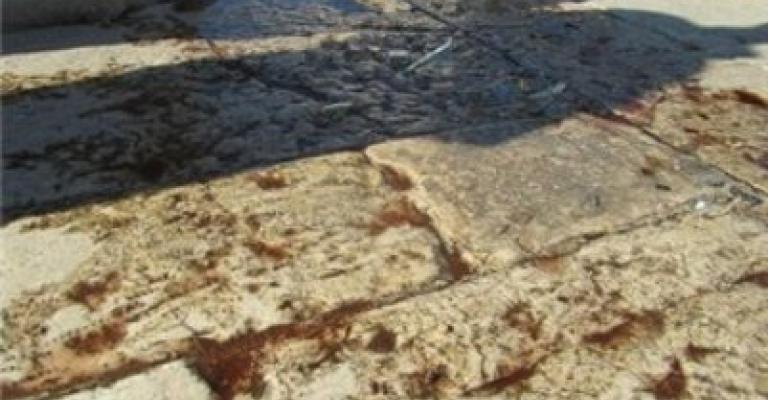 "دعاء" يدين اقتحام مستوطنين للأقصى وكسر زجاجة خمر في باحته