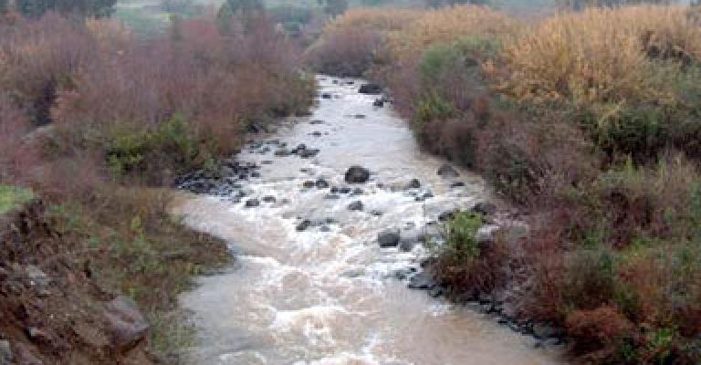 نهر الأردن... المخربون مطالبون بإعادة التأهيل 