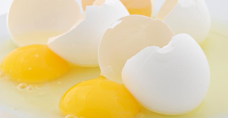 فعاليات ترشق مجلس النواب "بالبيض الفاسد" يوم الخميس