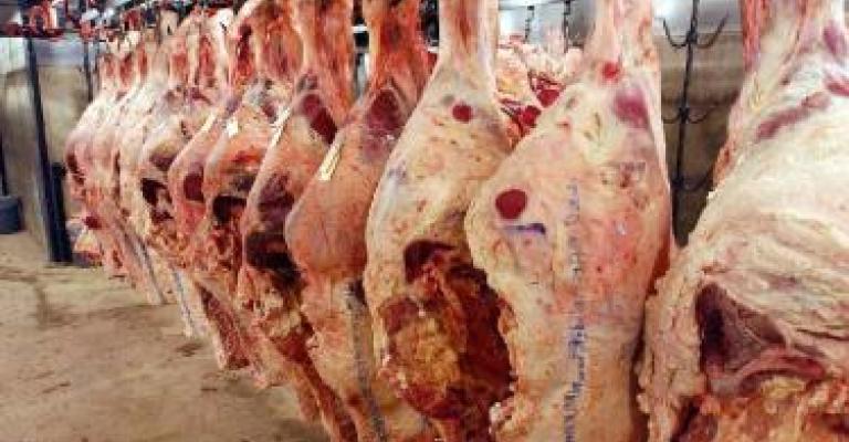 توفيق: الإعفاء من الرسوم لن ينعكس على أسعار اللحوم