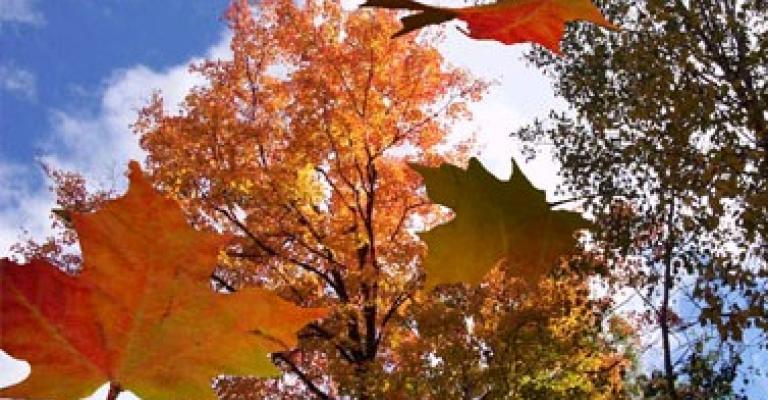 حكمونا كدينصورات وسقطوا كأوراق الشجر 