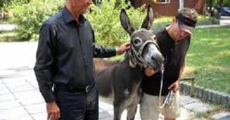 الفروق الثلاثة