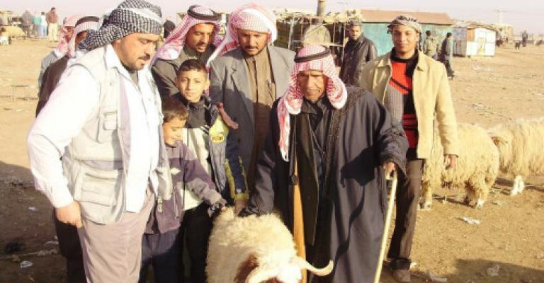 الإفتاء: تقسيط الأضاحي أو تأجيل ثمنها جائز شرعا 