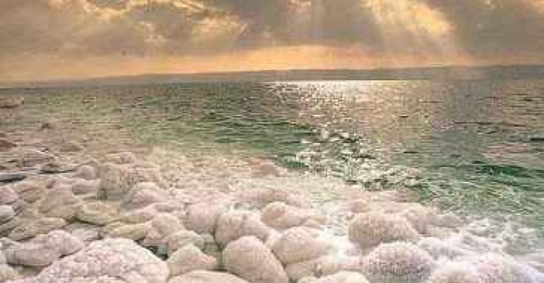 الفايز: البحر الميت استفاد رغم إخفاقه - صوت