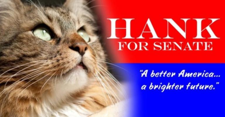 الأخ العزيز "هانك"