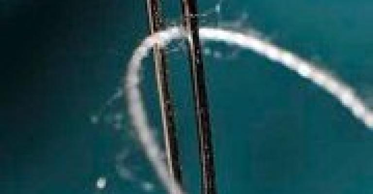 أنا وكوكي وخرم الابرة