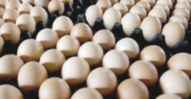 الاتحاد النوعي للدواجن: انخفاض على أسعار البيض