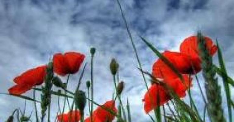 انخفاض طفيف على درجات الحرارة وأجواء معتدلة