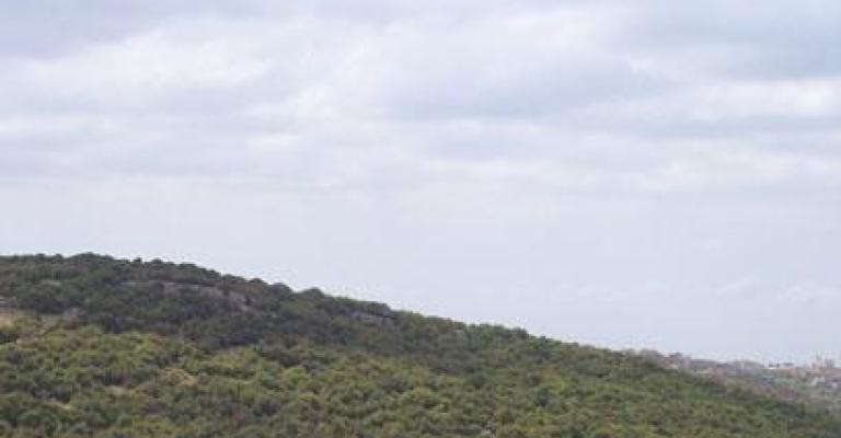 أجواء معتدلة إلى حارة نسبية والعظمى في عمان 29