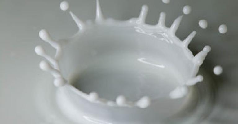 مصنعو الألبان: عدم رفع الأسعار رغم ارتفاع تعرفة الكهرباء