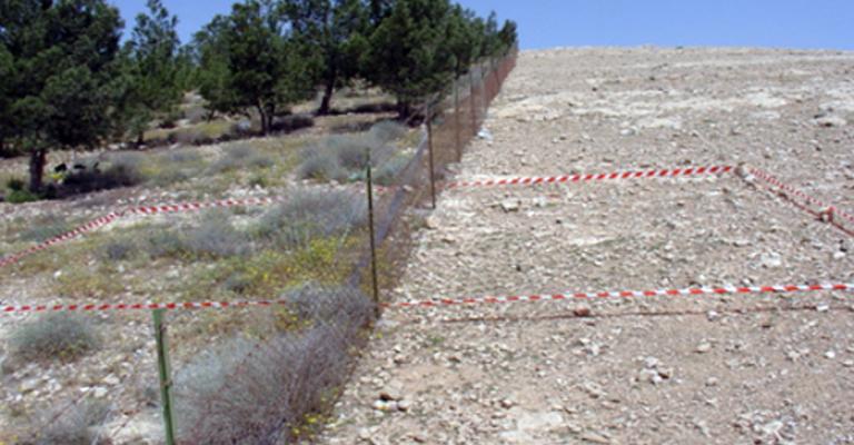 الأمانة :توجه لإنشاء مشاتل في وادي القطّار 