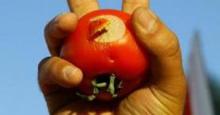 اعتقال ناشطين في اربد حاولوا اعترض الطراونة 