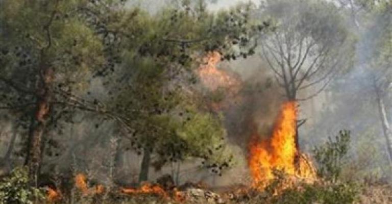 امتداد حريق من الجانب الإسرائيلي إلى العدسية
