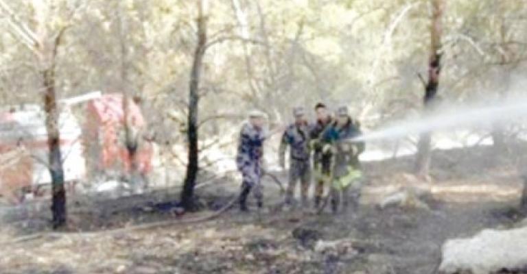 اخماد حريق داخل غابة وصفي التل 