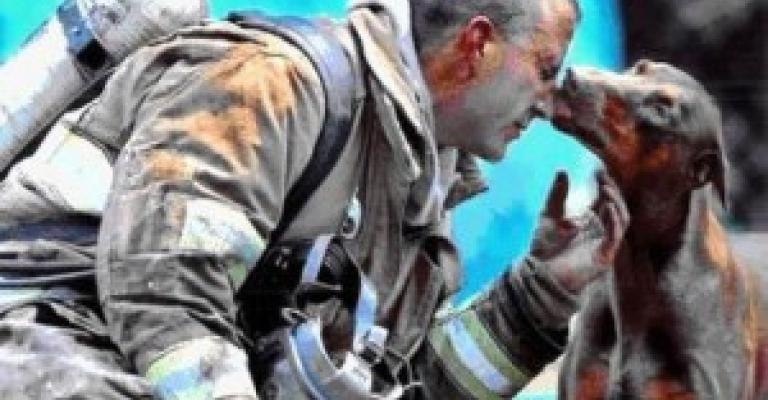 حريق في العمارة 