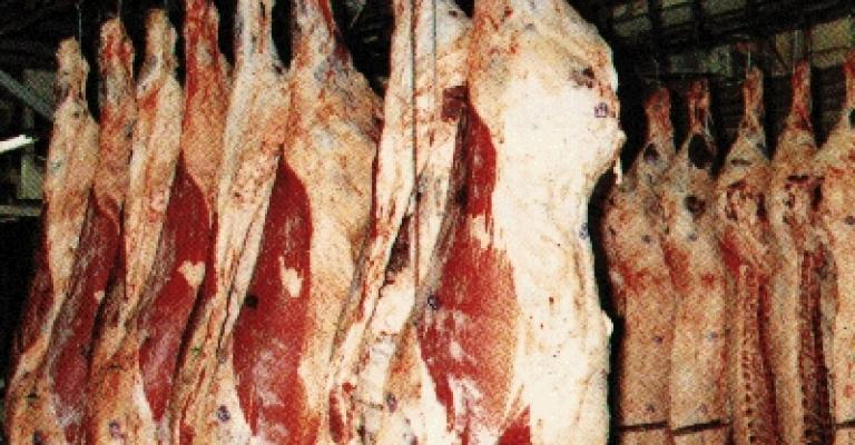 الامانة تتلف 4 طن لحوم وتغلق المستودع 