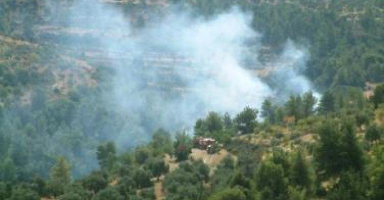 اربد: إخماد حريق أشجار مثمرة