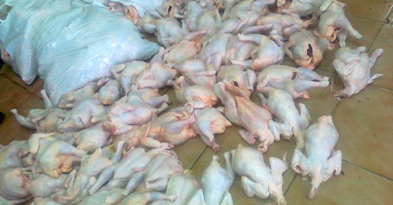 صور للمخالفات: الغذاء والدواء تنفذ 456 جولة تفتيشية