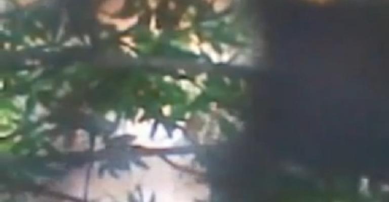 المعايطة ينفي وقوع اشتباكات مع الجيش السوري المعايطة ينفي وقوع اشتباكات مع الجيش السوري