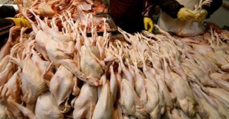 الامانة: اتلافات بالجملة