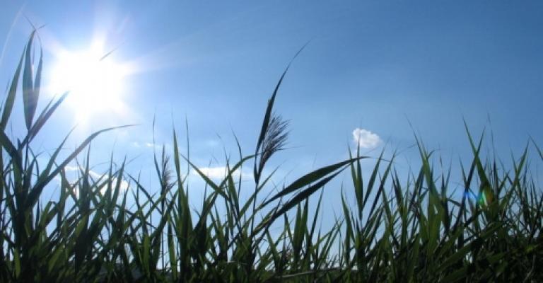 طقس صيفي اليومين المقبلين 