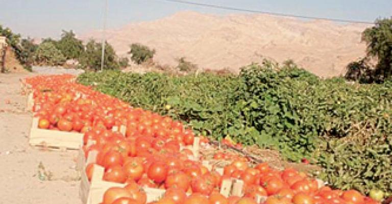 نقيب المزارعين: البعض استغل عطلة السوق المركزي لرفع الأسعار نقيب المزارعين: البعض استغل عطلة السوق المركزي لرفع الأسعار