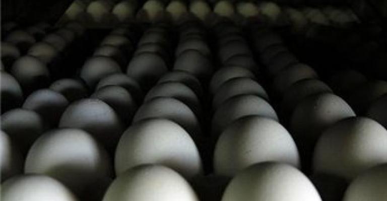 بيض فلسطيني في الأسواق الأردنية للمرة الأولى