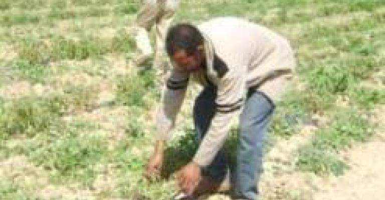 إعفاء مزارعي وادي الأردن من فوائد الوحدات الزراعية