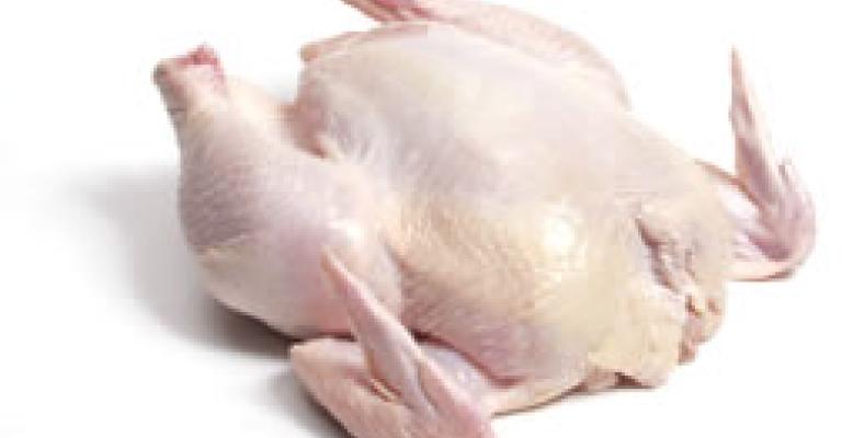 " المواد الغذائية" تطالب بتخفيض الرسوم على الدجاج المجمد 