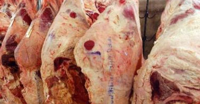 الأمانة تغلق 7 ملاحم ومسلخ بالشمع الأحمر 