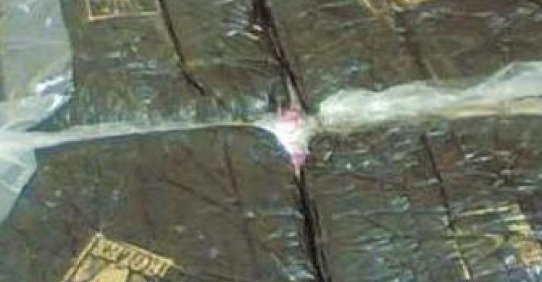 الطفيلة : ضبط مخدرات وسيارة مسروقة 