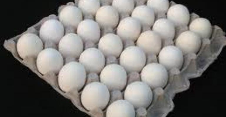 بيض ولبن و"معط" سياسة! 