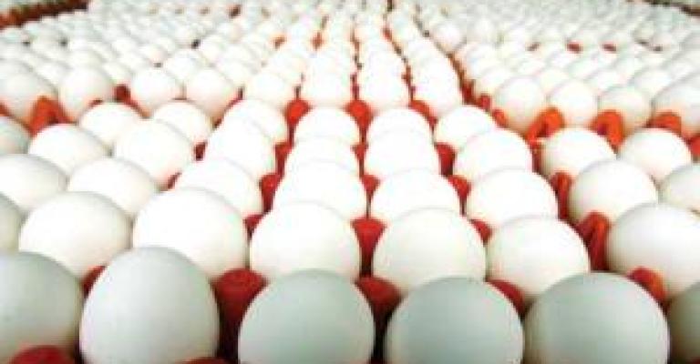 الإحصاءات: ارتفاع أسعار البيض وانخفاض الإنتاج