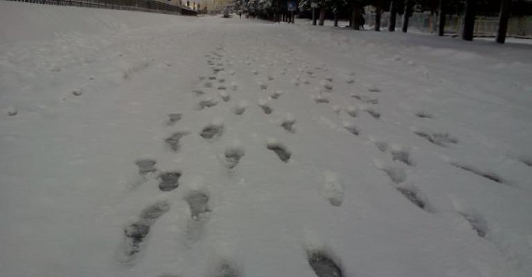 خطوات على الثلج