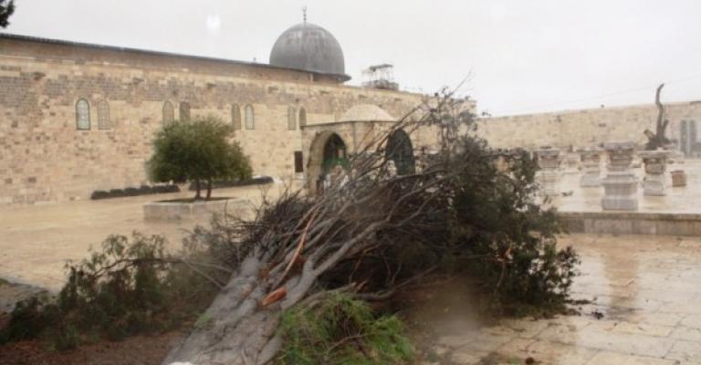 ملتقى القدس يحمل الحكومة مسؤولية حماية الأقصى