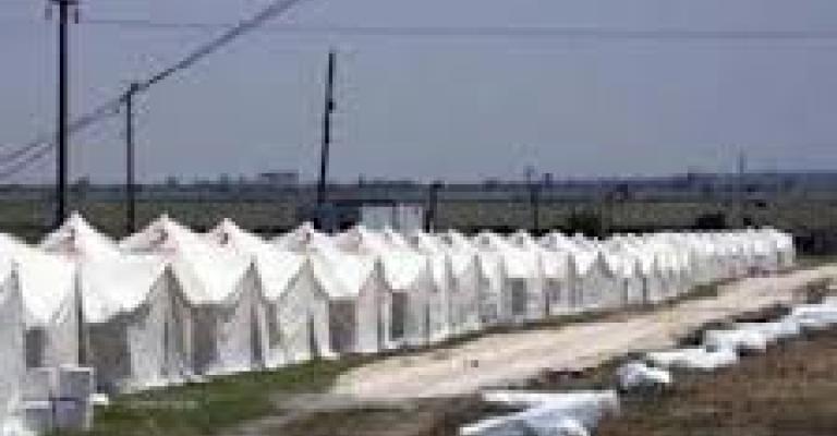 قرب الانتهاء من تجهيزات "مريجب الفهود" بإدارة إماراتية