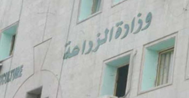 الزراعة تصرف المكافآت على وقع الاعتصامات العمالية 