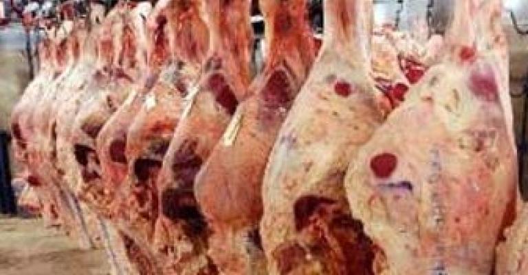 اسعار اللحوم المستوردة تستقر على الارتفاع 