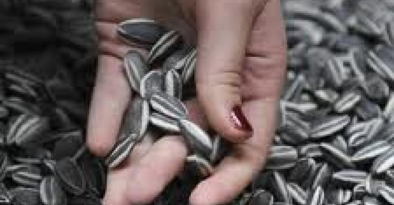 "فصفصة" وطنية!!