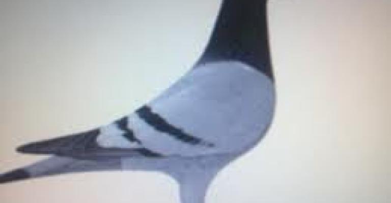 منع من الوصول