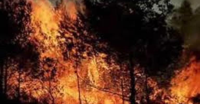 حريق يطال 80 دونم في اربد