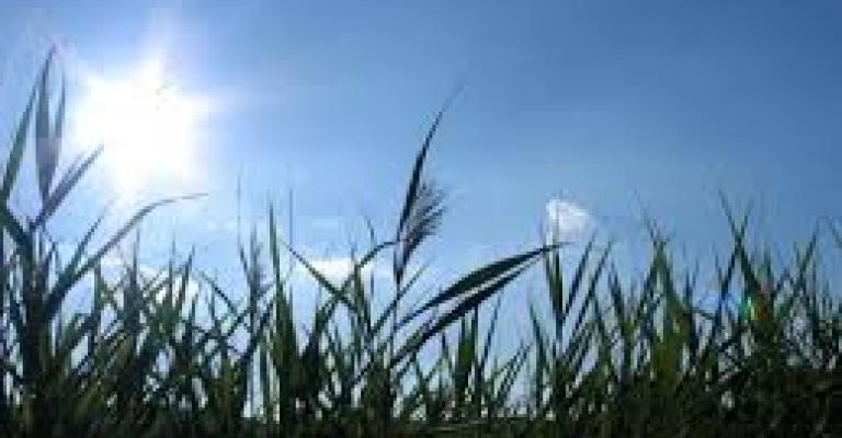 جو معتدل خلال الأيام الثلاثة المقبلة جو معتدل خلال الأيام الثلاثة المقبلة