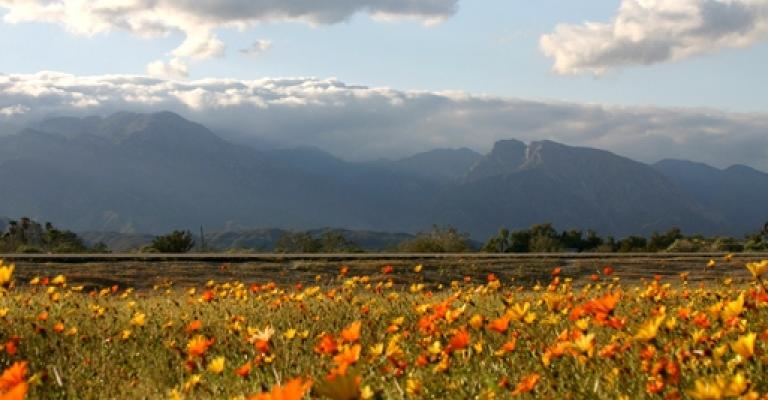 انخفاض درجات الحرارة اليوم وطقس معتدل الجمعة